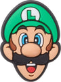 Mario Brothers Luigi