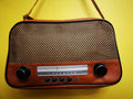 Retro Radio Brown bag